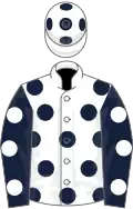 White, dark blue spots, dark blue sleeves, white spots