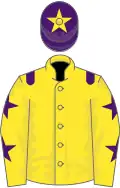 Yellow, purple epaulets, yellow sleeves, purple stars, purple cap, yellow star