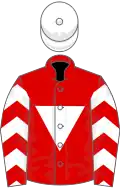 Red, white inverted triangle, chevrons on sleeves, white cap