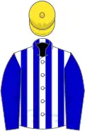 White and blue stripes, blue sleeves, yellow cap