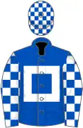 Royal blue, white hollow box, checked sleeves and cap