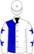 White and blue (halved), white sleeves, blue stars, white cap