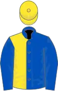 Royal blue and yellow (halved), royal blue sleeves, yellow cap