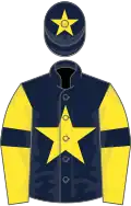 Dark blue, yellow star, yellow sleeves, dark blue armlets, dark blue cap, yellow star