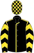 Black, yellow seams, yellow and black chevrons on sleeves, check cap