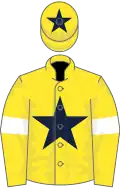 Yellow, dark blue star, yellow sleeves, white armlets, yellow cap, dark blue star