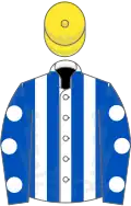 White and royal blue stripes, royal blue sleeves, white spots, yellow cap