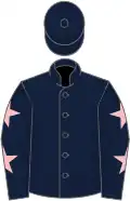 Dark blue, pink stars on sleeves