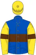 Royal blue, brown hoop and armlets, yellow sleeves and cap