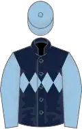 Dark blue and white (quartered), dark blue sleeves and cap
