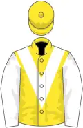 Yellow, white chevron and sleeves