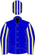 Blue, primrose striped sleeves and cap