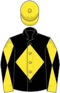Black, yellow diamond, yellow and black diabolo on sleeves, yellow cap