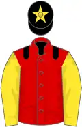 Red, black epaulets, yellow sleeves, black cap, yellow star