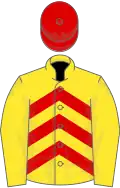 Yellow, red chevrons, yellow sleeves, red cap