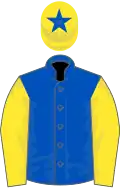 Royal blue, yellow sleeves, yellow cap, royal blue star