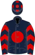 Dark blue, red disc, chevrons on sleeves and spots on cap