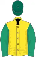 Yellow, emerald green sleeves, dark green cap
