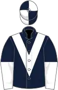 Dark blue, white chevron, halved sleeves, quartered cap