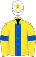 Yellow, royal blue panel and armlet, white cap, yellow star