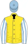 Yellow, white and light blue striped sleeves, light blue cap