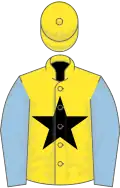 Yellow, Black star, Light Blue sleeves, yellow cap