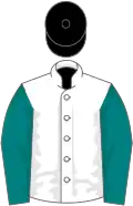 White, teal sleeves, black cap