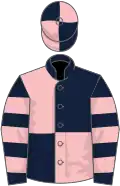 Dark blue and pink (quartered), hooped sleeves