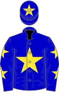 Blue, yellow star, yellow stars on sleeves and star on cap