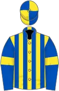 Yellow and royal blue stripes, royal blue sleeves, yellow armlets, quartered cap