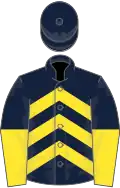 Dark blue and yellow chevrons, halved sleeves, dark blue cap