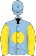 Light blue, yellow disc and sleeves
