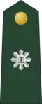 Major (Philippine Army)[69]