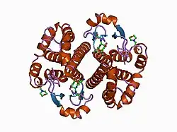18gs: GLUTATHIONE S-TRANSFERASE P1-1 COMPLEXED WITH 1-(S-GLUTATHIONYL)-2,4-DINITROBENZENE