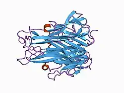 1a8m: TUMOR NECROSIS FACTOR ALPHA, R31D MUTANT