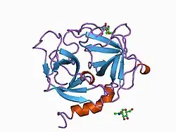1ae5: HUMAN HEPARIN BINDING PROTEIN