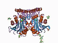 1apz: HUMAN ASPARTYLGLUCOSAMINIDASE COMPLEX WITH REACTION PRODUCT