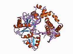 1bpz: HUMAN DNA POLYMERASE BETA COMPLEXED WITH NICKED DNA