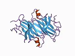 1bzd: TERTIARY STRUCTURES OF THREE AMYLOIDOGENIC TRANSTHYRETIN VARIANTS AND IMPLICATIONS FOR AMYLOID FIBRIL FORMATION