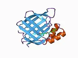 1cbs: CRYSTAL STRUCTURE OF CELLULAR RETINOIC-ACID-BINDING PROTEINS I AND II IN COMPLEX WITH ALL-TRANS-RETINOIC ACID AND A SYNTHETIC RETINOID