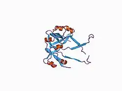 1cks: HUMAN CKSHS2 ATOMIC STRUCTURE: A ROLE FOR ITS HEXAMERIC ASSEMBLY IN CELL CYCLE CONTROL