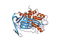 1dvn: LATENT FORM OF PLASMINOGEN ACTIVATOR INHIBITOR-1 (PAI-1)
