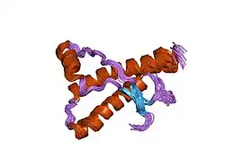 1e1p: HUMAN PRION PROTEIN VARIANT S170N