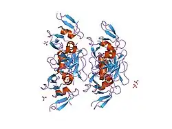 1fd4: HUMAN BETA-DEFENSIN 2