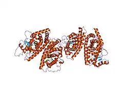 1fm6: THE 2.1 ANGSTROM RESOLUTION CRYSTAL STRUCTURE OF THE HETERODIMER OF THE HUMAN RXRALPHA AND PPARGAMMA LIGAND BINDING DOMAINS RESPECTIVELY BOUND WITH 9-CIS RETINOIC ACID AND ROSIGLITAZONE AND CO-ACTIVATOR PEPTIDES.