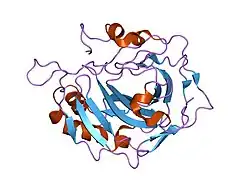 1fqn: X-RAY CRYSTAL STRUCTURE OF METAL-FREE F93I/F95M/W97V CARBONIC ANHYDRASE (CAII) VARIANT