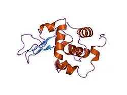 1gbx: CRYSTAL STRUCTURE OF MUTANT HUMAN LYSOZYME SUBSTITUTED AT THE SURFACE POSITIONS