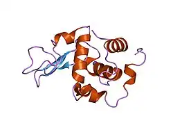 1gf9: CRYSTAL STRUCTURE OF MUTANT HUMAN LYSOZYME SUBSTITUTED AT THE SURFACE POSITIONS