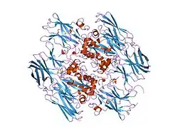 1ggu: HUMAN FACTOR XIII WITH CALCIUM BOUND IN THE ION SITE
