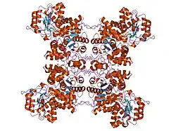 1gz3: MOLECULAR MECHANISM FOR THE REGULATION OF HUMAN MITOCHONDRIAL NAD(P)+-DEPENDENT MALIC ENZYME BY ATP AND FUMARATE